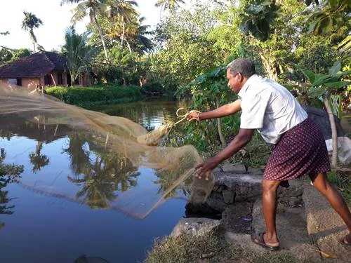 Kerala Village life experience