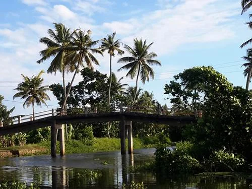 Kumarakom village experience