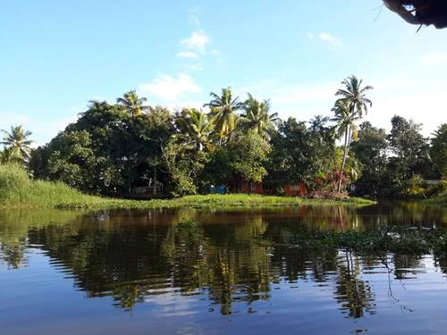 Living amidst nature’s bounty