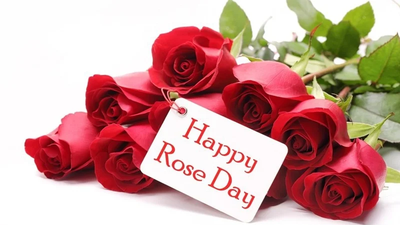 Valentine’s Day 2019: 7 days of love, know exactly what each day stands for!