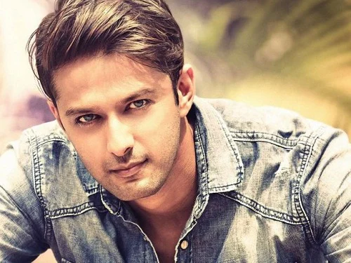 Zayed Khan to Aashish Chaudhary: 10 flop Bollywood actors who switched to Television