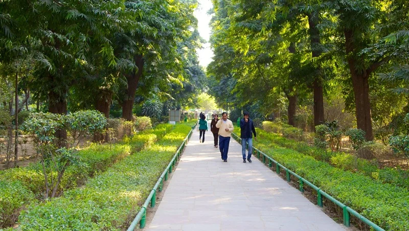 Discovering the green side of New Delhi