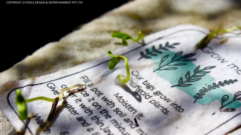 In 2018 get a calendar that grows into a garden!