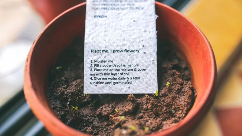 In 2018 get a calendar that grows into a garden!