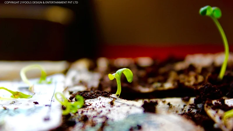 In 2018 get a calendar that grows into a garden!