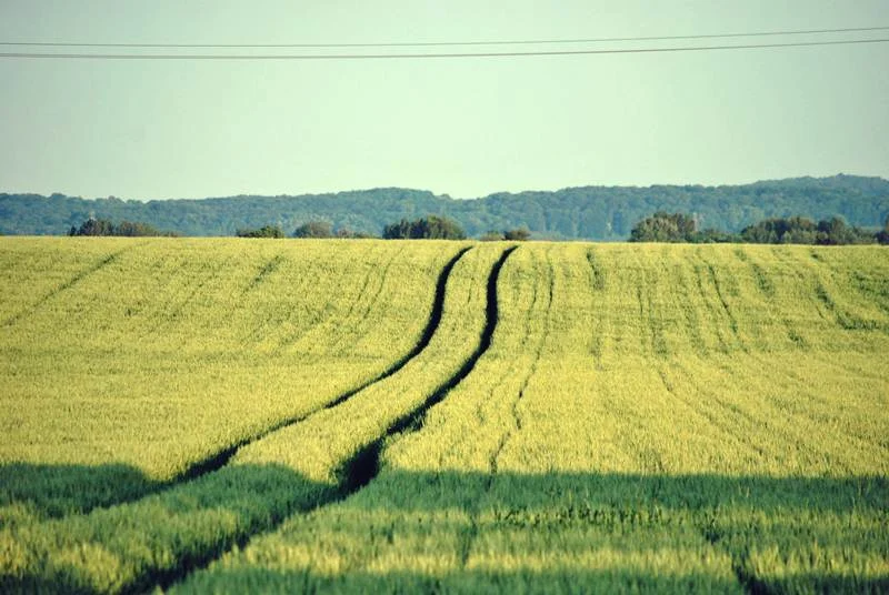 The expansive flatland in Sacy-le-Petit