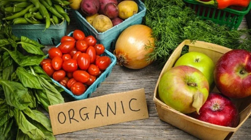 Here are 7 environment-friendly New Year resolutions for 2019