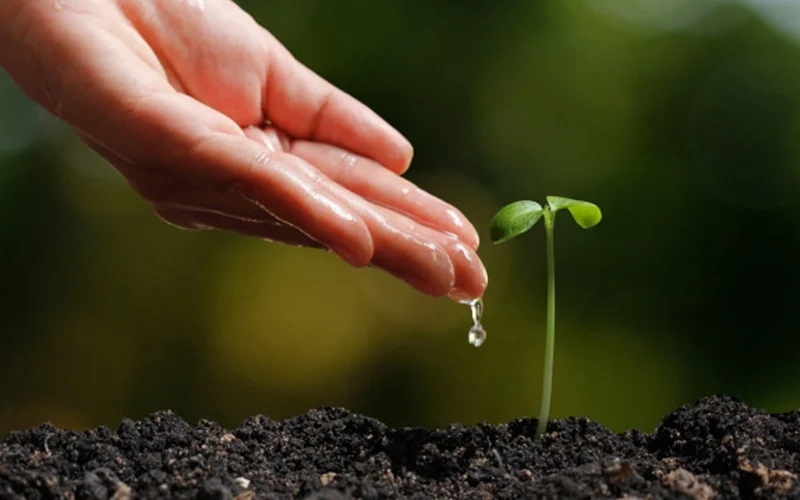 Here are 7 environment-friendly New Year resolutions for 2019