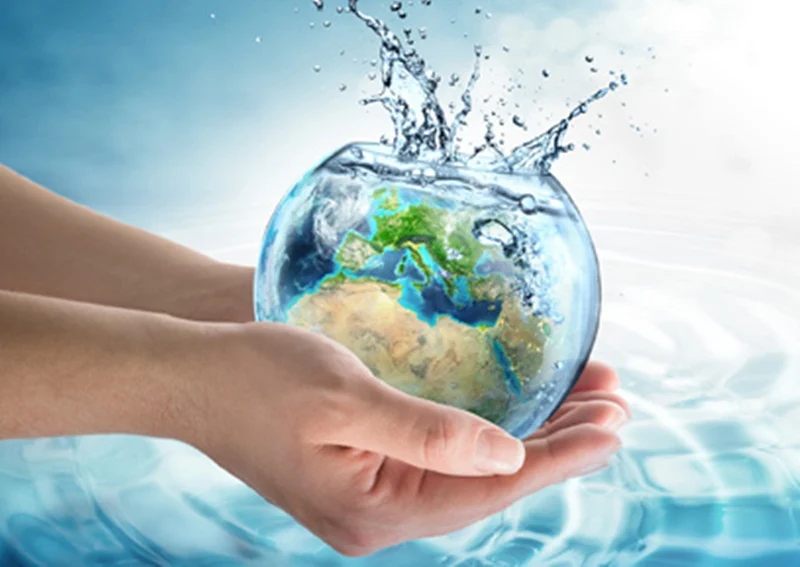 Here are 7 environment-friendly New Year resolutions for 2019