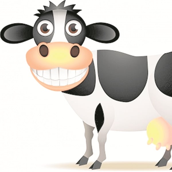 Cows lay eggs, as per kids in UK!