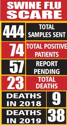 Indore: Swine flu ‘sting’ fails to prompt government action
