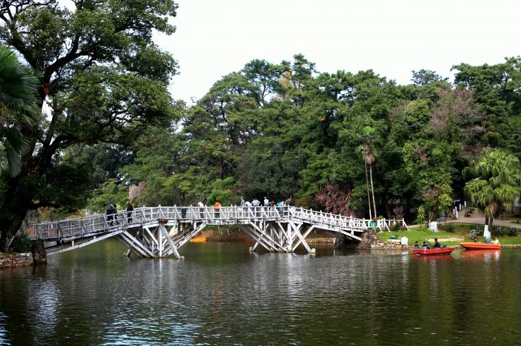 Meghalaya: Scenic and serene