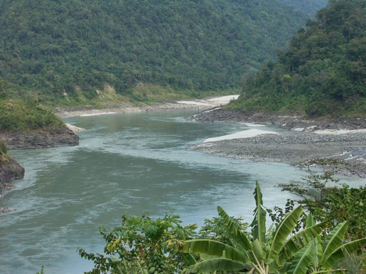 Bhopal: Rejuvenation of 13 major rivers through forestry intervention - Vimarsana News
