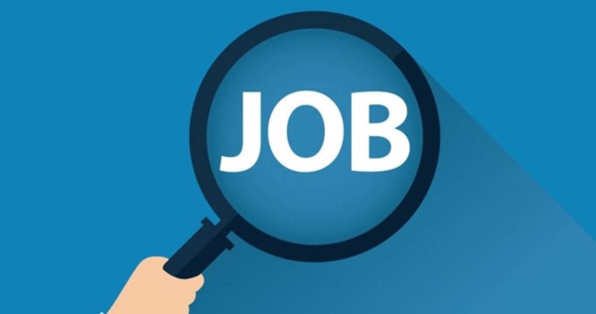 Mega job fair in Indore on Sunday, over 15 companies to take part - Vimarsana News