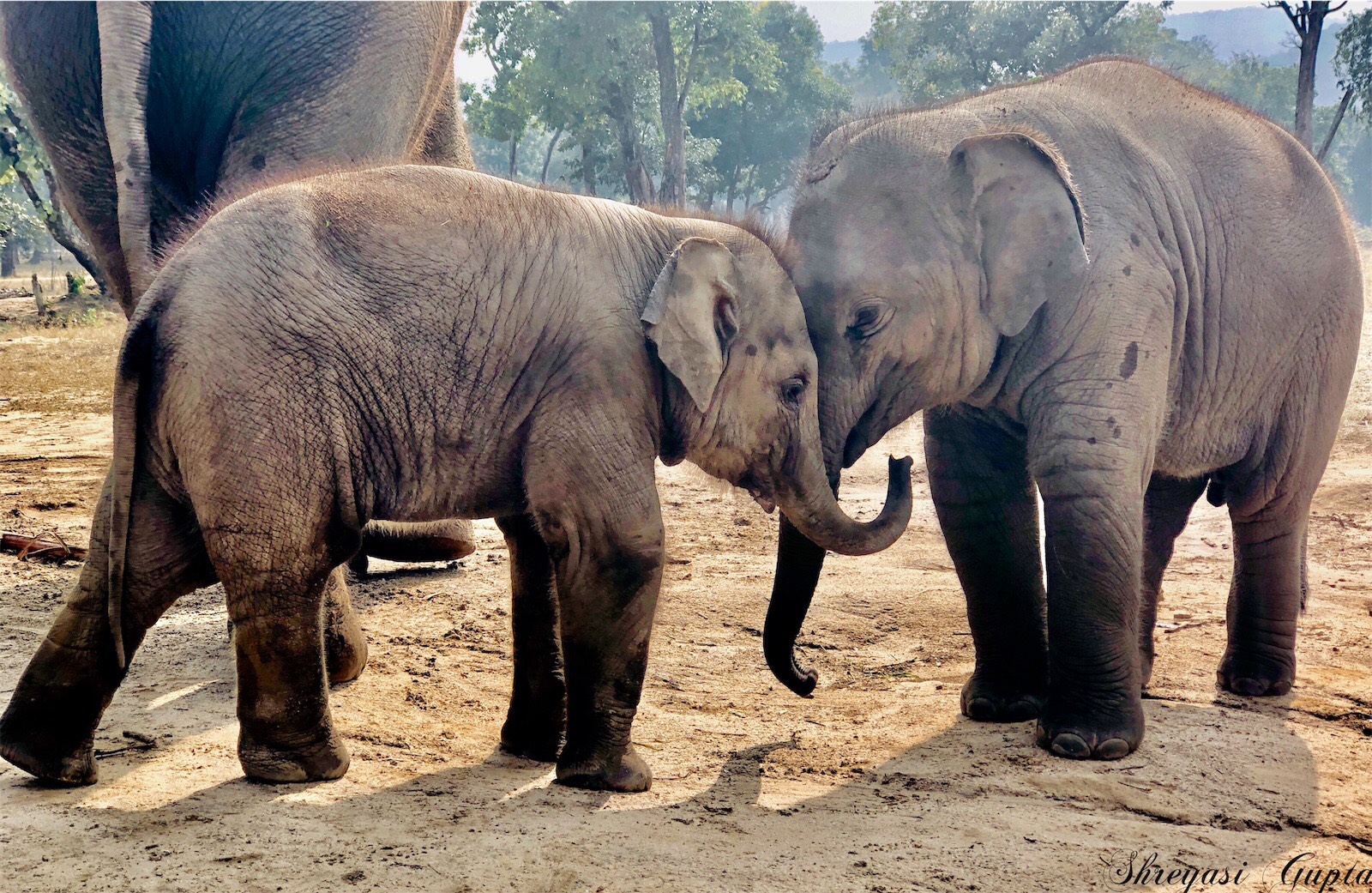 Representative Photo | 