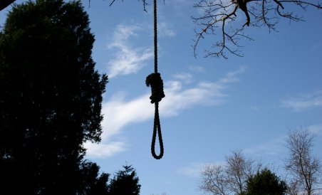 Madhya Pradesh: Man found hanging from tree - Vimarsana News