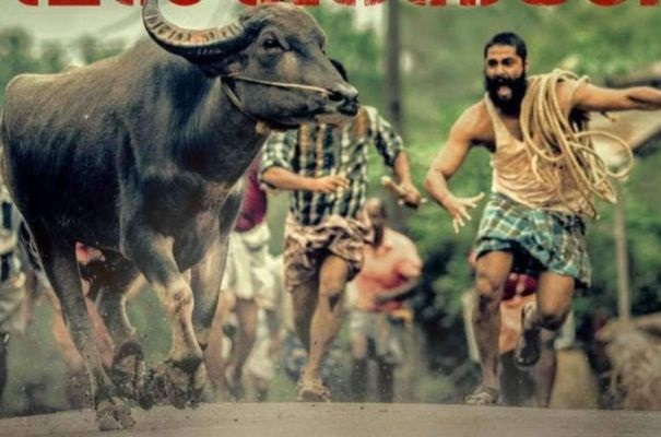 THE GHOSTS OF BORLEY RECTORY NEXT WATCH ONLINE WATCH ONLINE