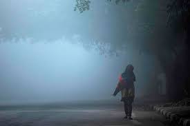 Bhopal: Pachmarhi at 2.5 degrees Celsius after drop of 8 degrees - Vimarsana News