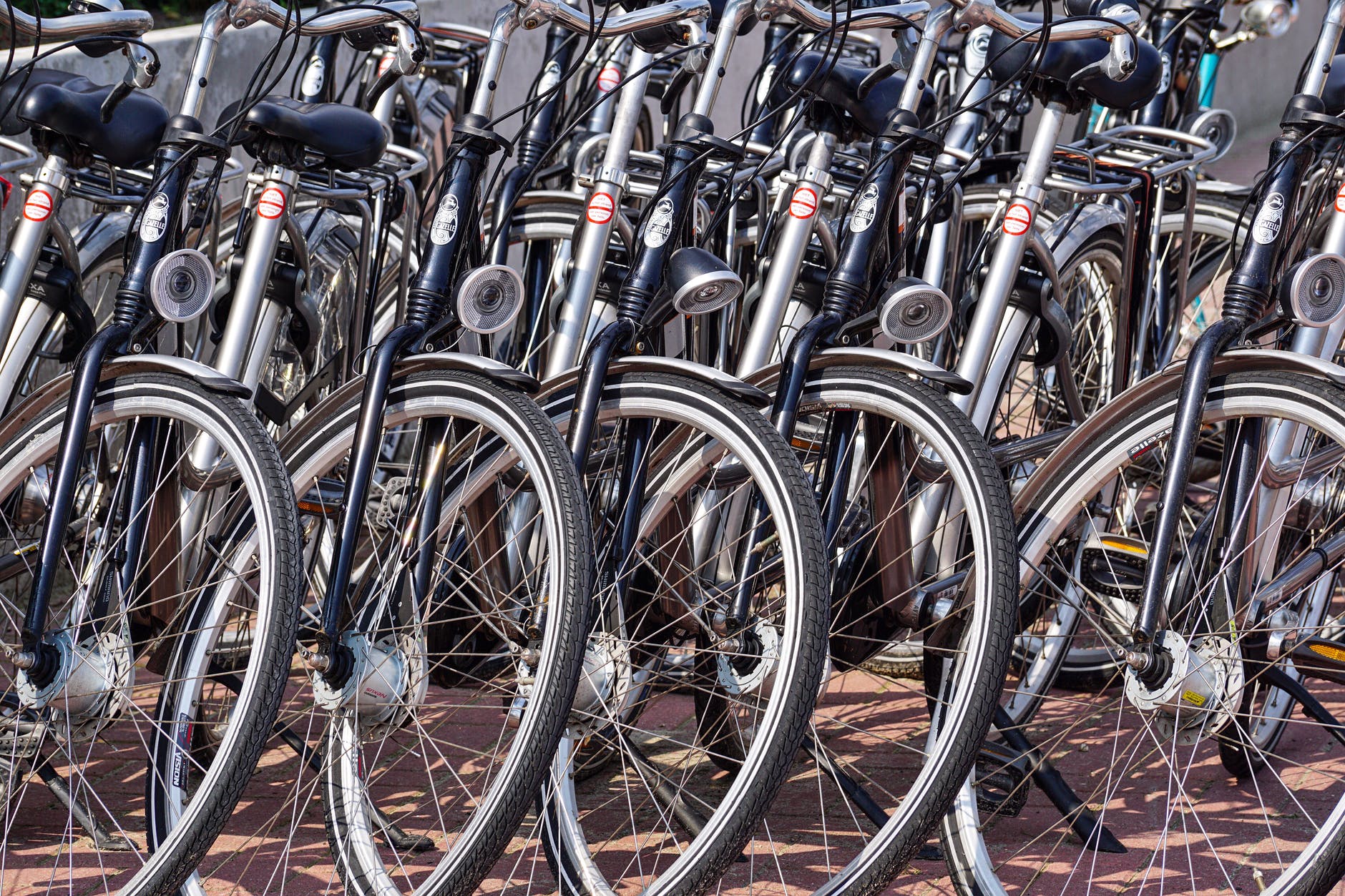 Navi Mumbai: Work of cycle track along Palm Beach Road to start soon - Vimarsana News