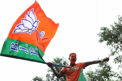Madhya Pradesh: BJP leaders differ with top brass on Raigaon seat loss - Vimarsana News