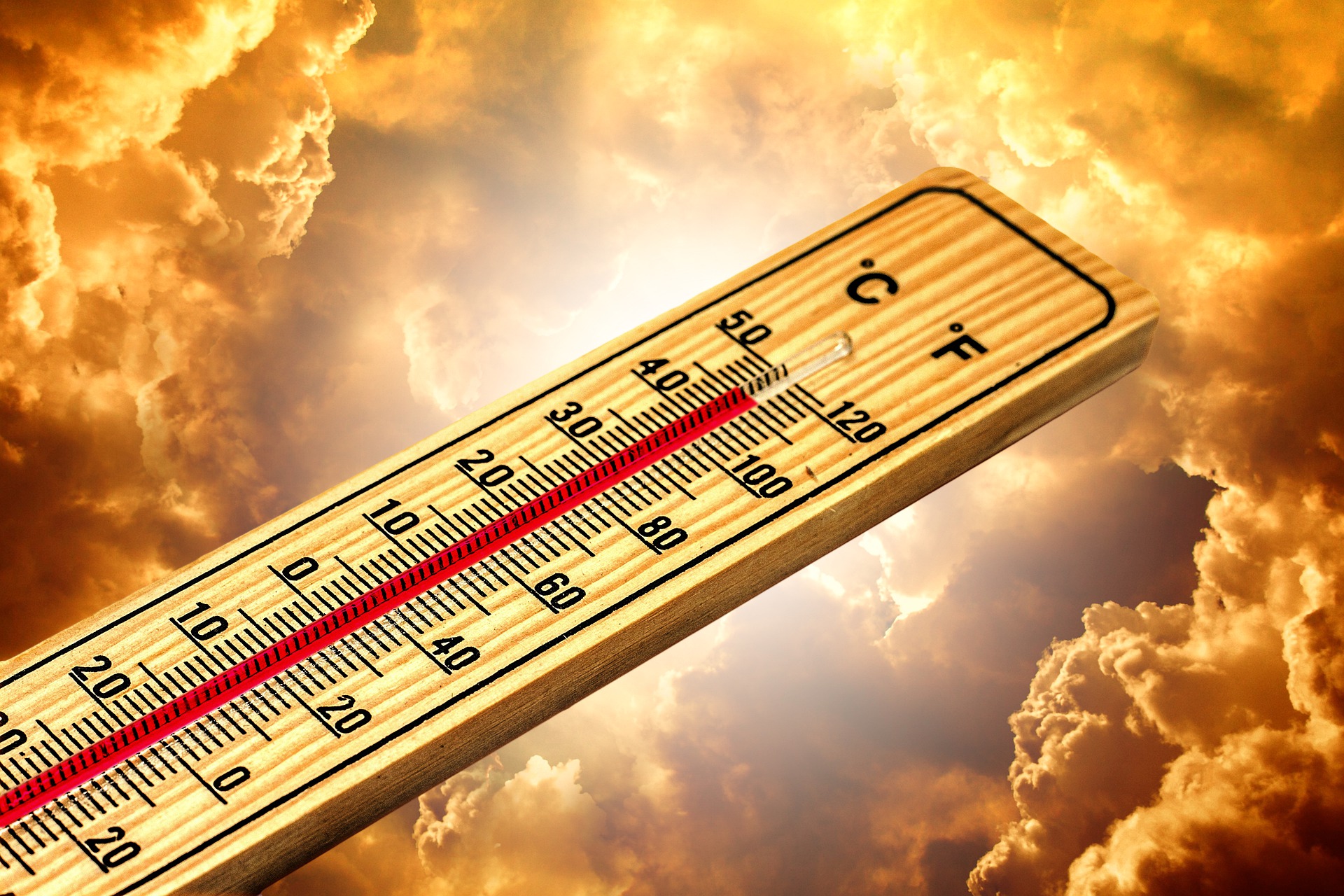 Madhya Pradesh: Temperatures to soar again as fresh western disturbance approaches - Vimarsana News