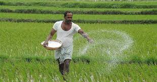 KRIBHCO, CSC e-Governance Services India tie up to market agri-input products - Vimarsana News