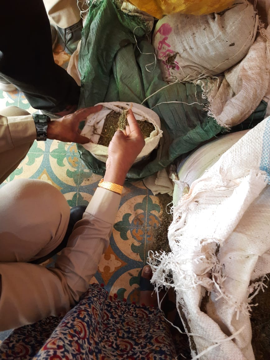 Seized cannabis  | FP Photo