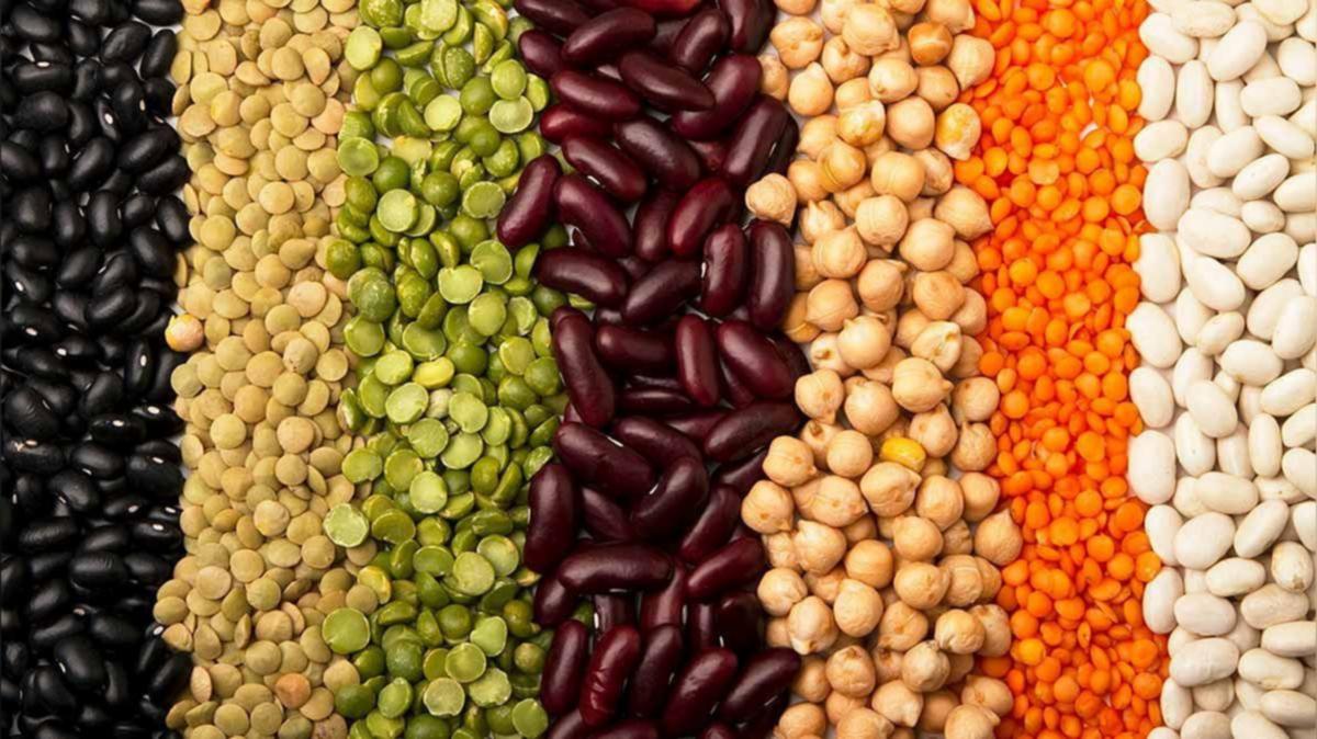 Export of agricultural produce rises from Jammu & Kashmir: APEDA - Vimarsana News