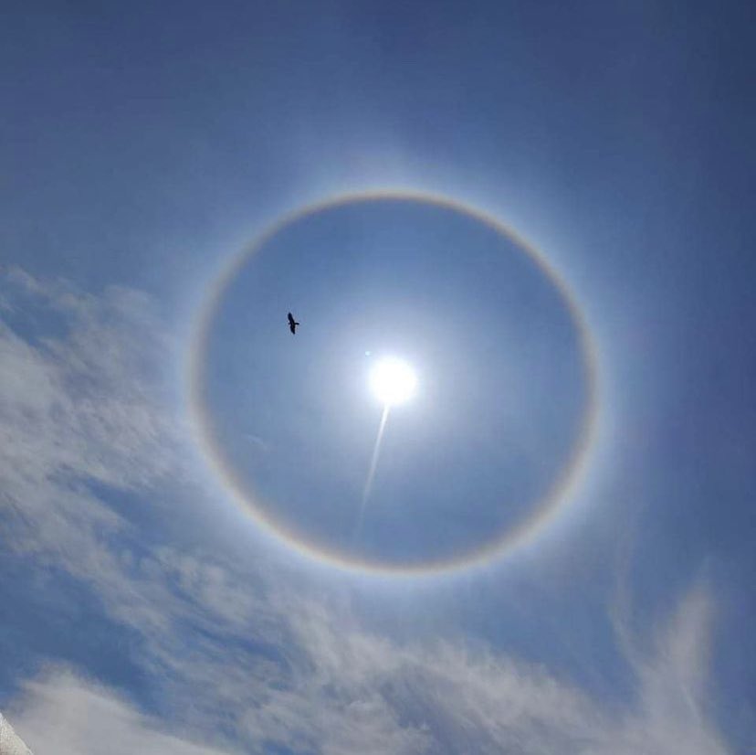 Bengaluru Witnesses Rare Atmospheric Phenomenon Sun Halo Twitter Stunned
