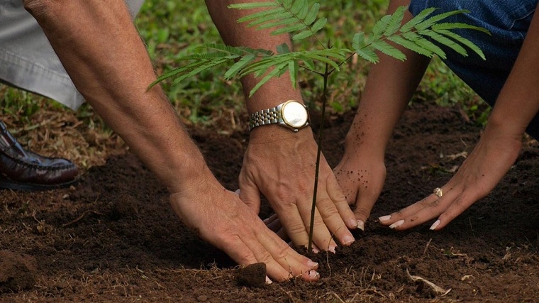 Bhopal: IEHE plants over 500 saplings under Ankur Utsav - Vimarsana News