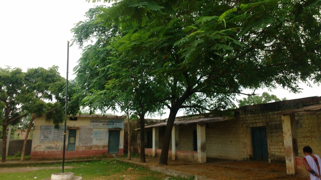 Jhabua: 5 girls from a single tribal family in district quit school to find work - Vimarsana News