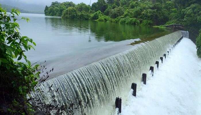 Mumbai: Click here for water level in city's seven lakes as issued by BMC on August 21 | File Photo 