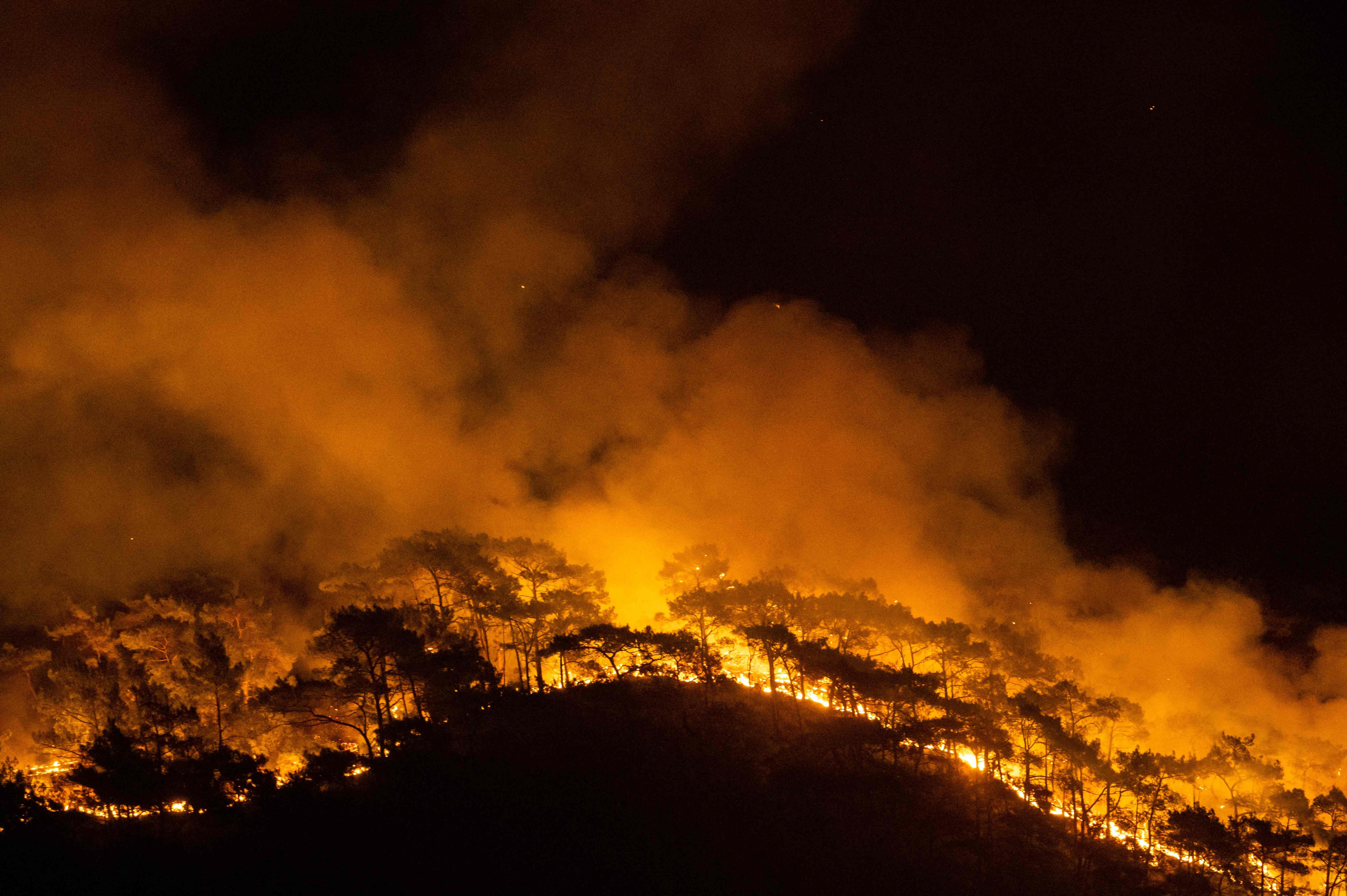 As heat waves soar, wildfires burn numerous countries; see photos & videos
