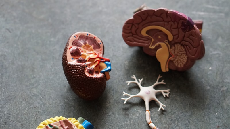 Some COVID-19 patients experience Alzheimer's-like changes in brain: Study - Vimarsana News
