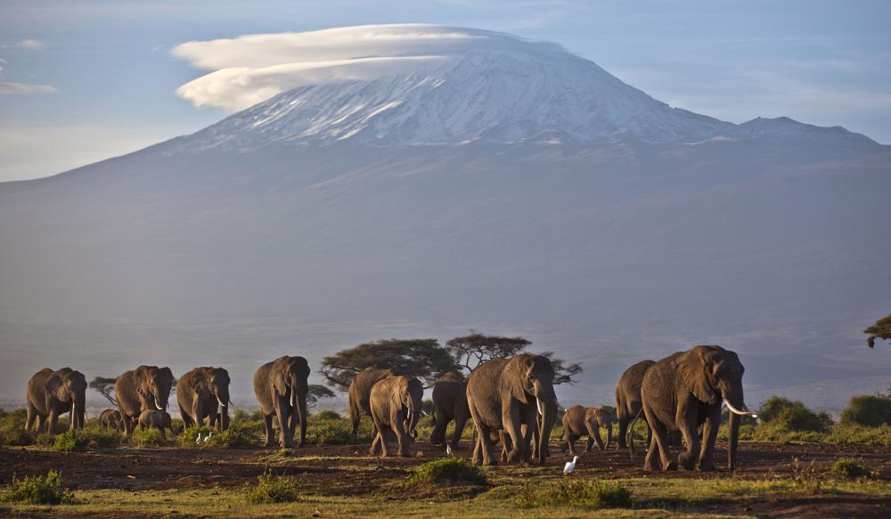 Africa's rare glaciers soon to disappear - Vimarsana News
