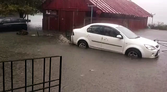 Vehicles get submerged on the waterlogged road as Nainital Lake overflows and floods the streets due to incessant rainfall, in Nainital on Tuesday. (ANI Photo)
