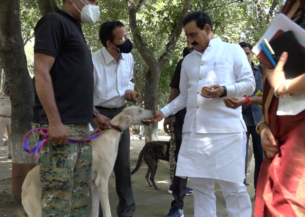 Madhya Pradesh: MP police to induct Indian breed dogs in dog squad - Vimarsana News