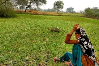 Madhya Pradesh: Woman farmer moving from pillar to post for payment - Vimarsana News