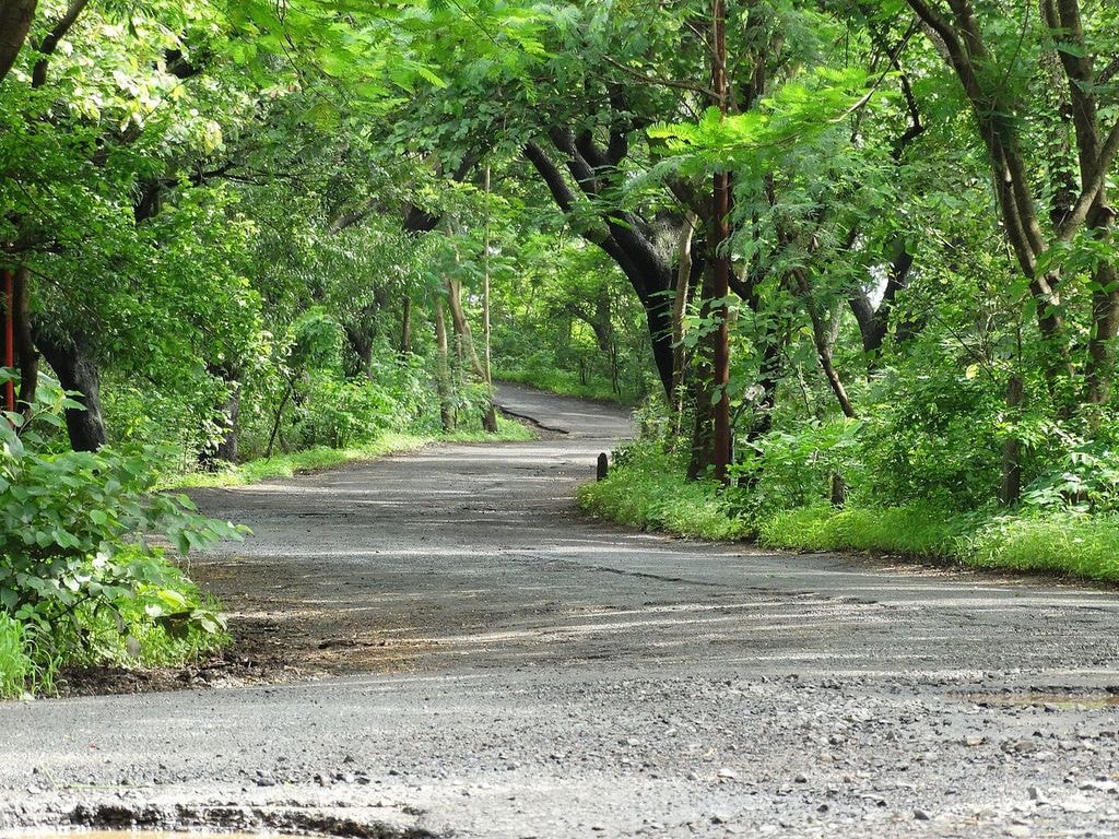 Urbanisation eats up Mumbai's greenery - Vimarsana News