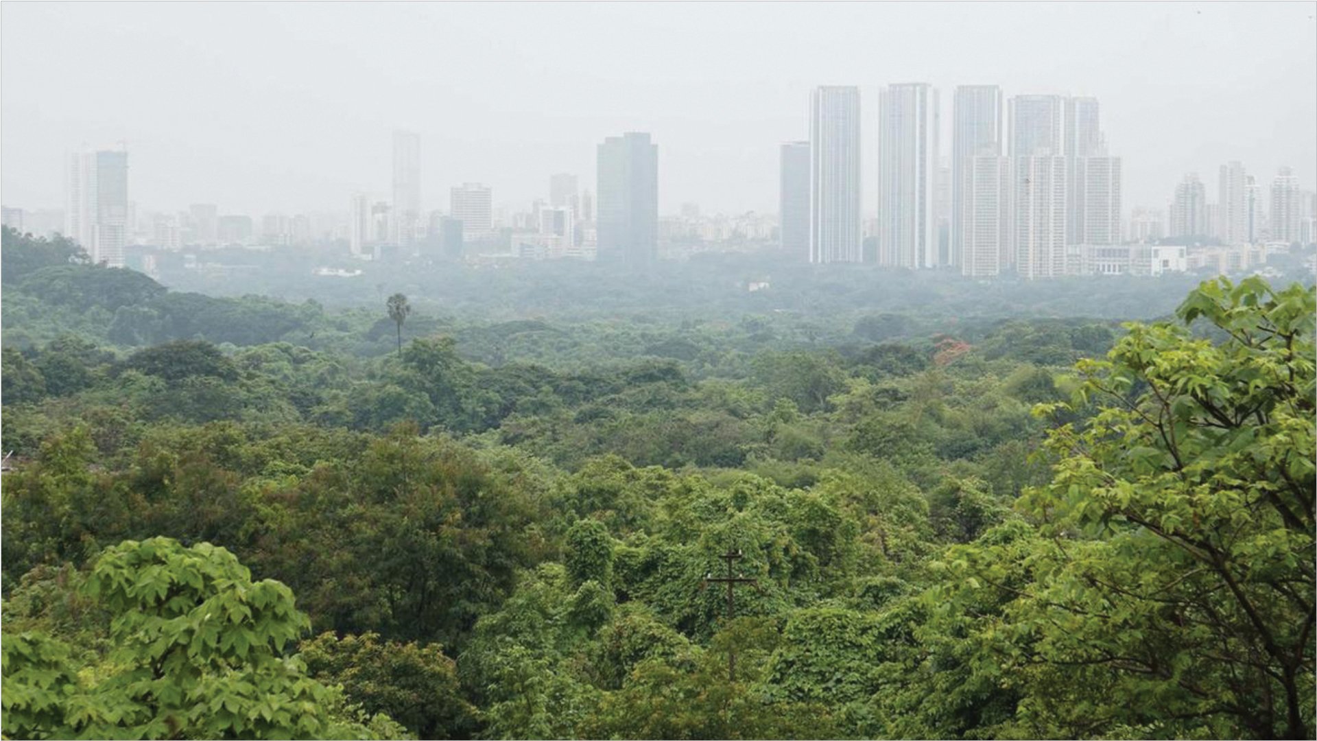 Mumbai: BMC to spend 47 crores on concretisation of 7.38 km Aarey road - Vimarsana News