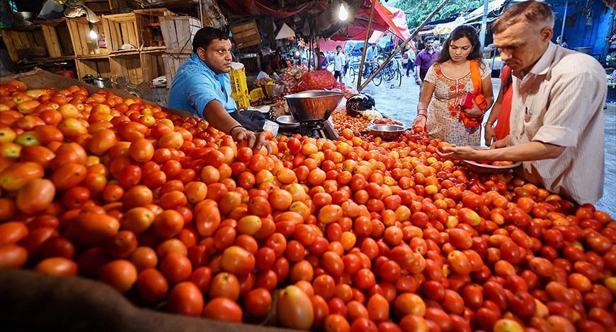 Navi Mumbai: Tomato prices touch Rs 100 per kg in retail, traders say no respite for next 20 days - Vimarsana News