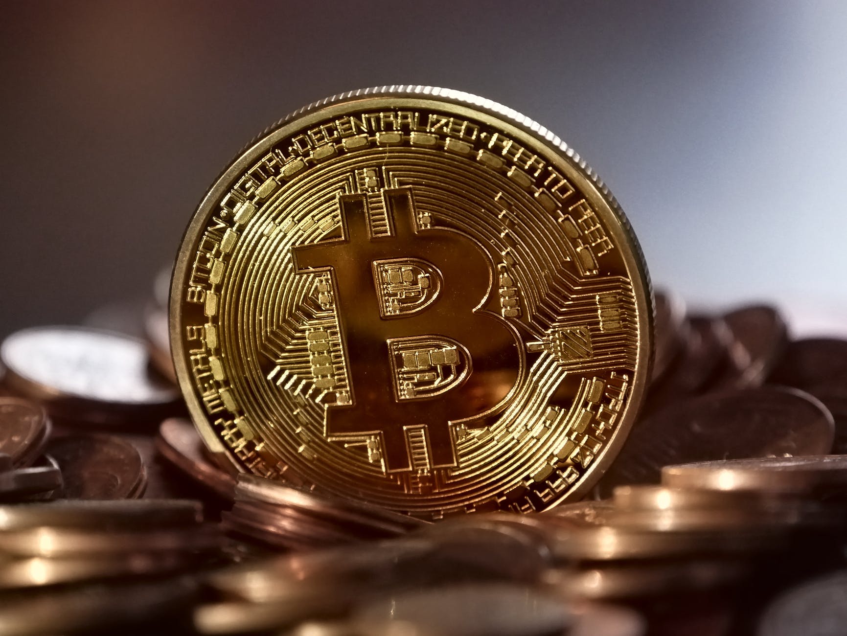 Crypto exchange WazirX witnesses record trading volume of over $43 bn in 2021; up 1,735% growth from 2020 - Vimarsana News