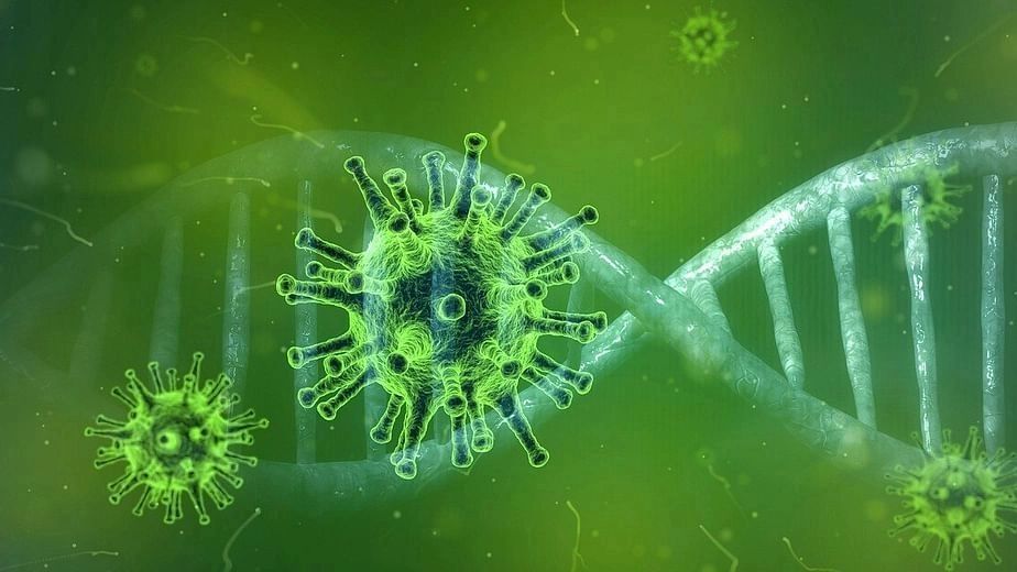 coronavirus_4833754_1280.jpg?rect=0%2C0%