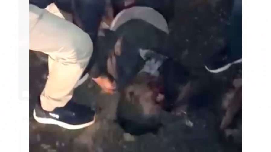 Madhya Pradesh: Two killed, five seriously injured after jeep rams into stationary truck - Vimarsana News