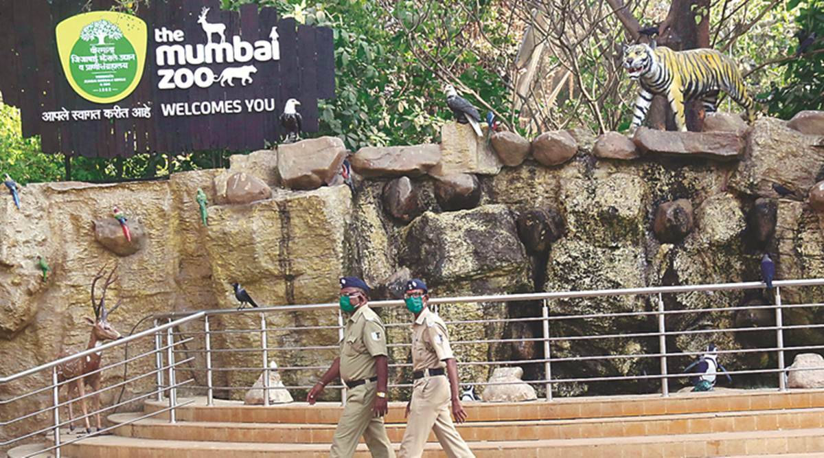 Mumbai: Byculla zoo reopens for public, sees over 1,600 footfalls in one day - Vimarsana News