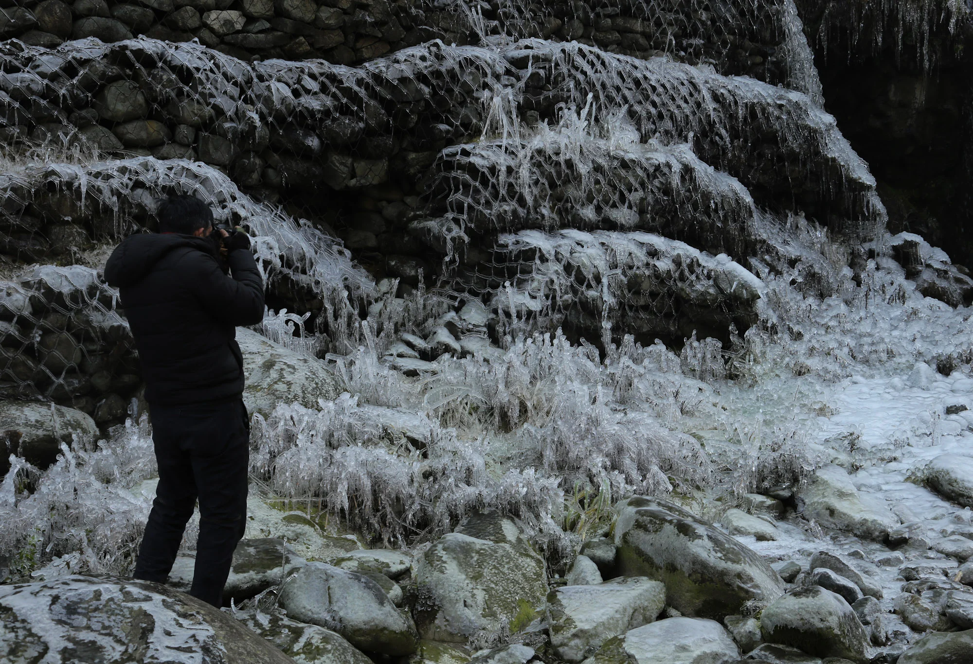 Ice crystals form on frozen plants during a cold winter day in Tangmarg area of north Kashmir