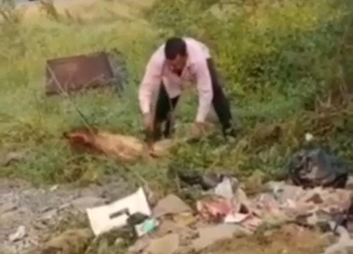 Madhya Pradesh: Case registered against quack doctor for killing dog - Vimarsana News
