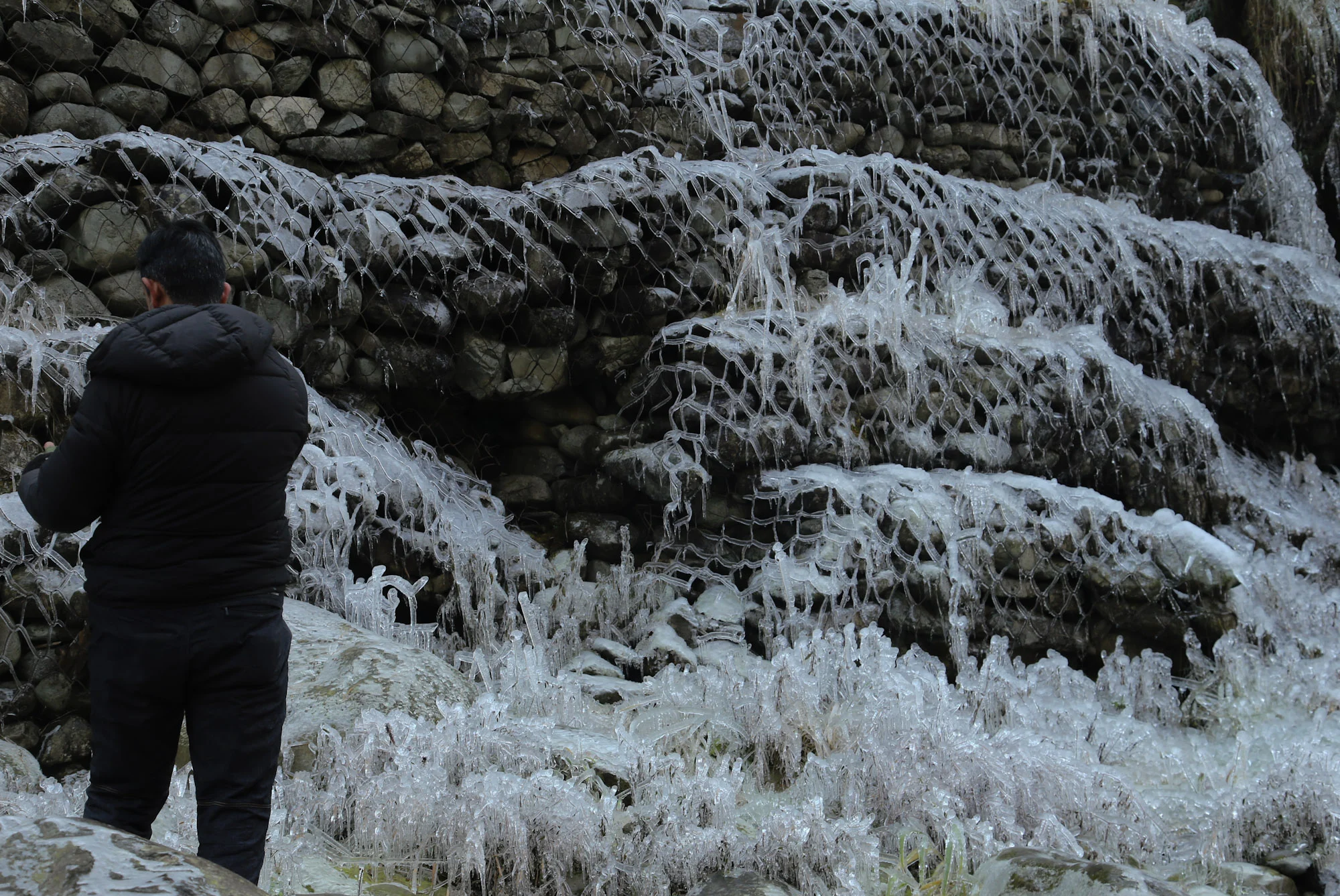 Ice crystals form on frozen plants during a cold winter day in Tangmarg area of north Kashmir