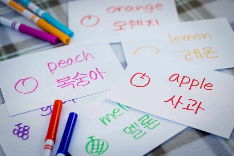 Learning Korean gaining ground in India, says education report - Vimarsana News