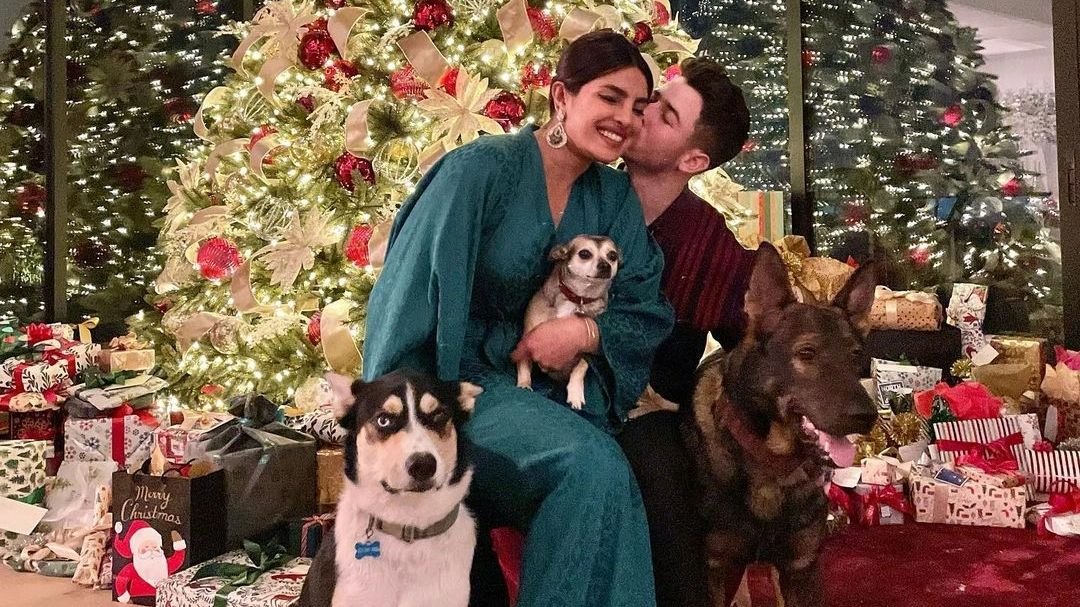 Priyanka Chopra can't stop smiling as Nick Jonas kisses her in this new Christmas photo - Vimarsana News